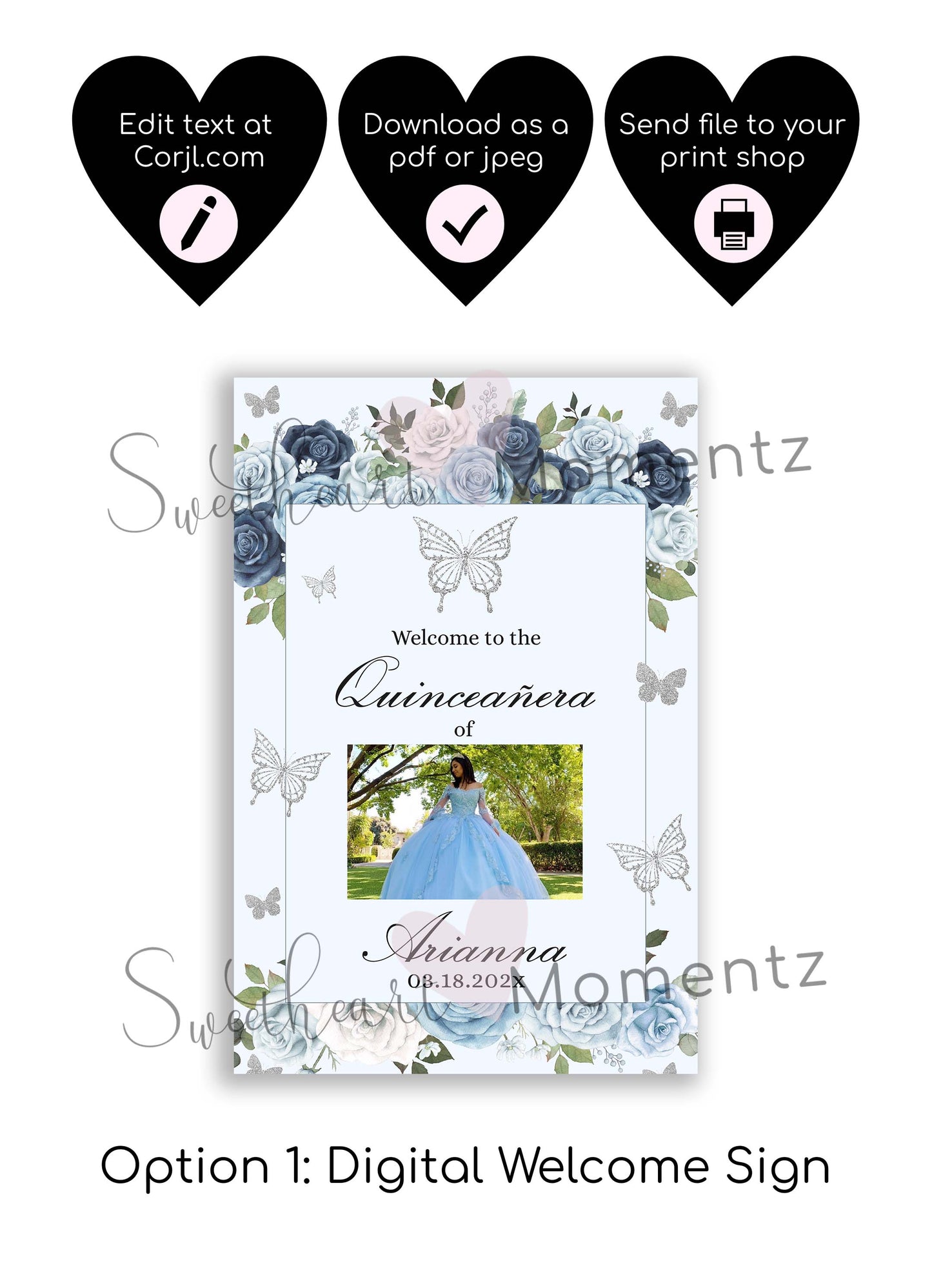 Blue and Silver Butterfly Welcome Sign Style: Arianna