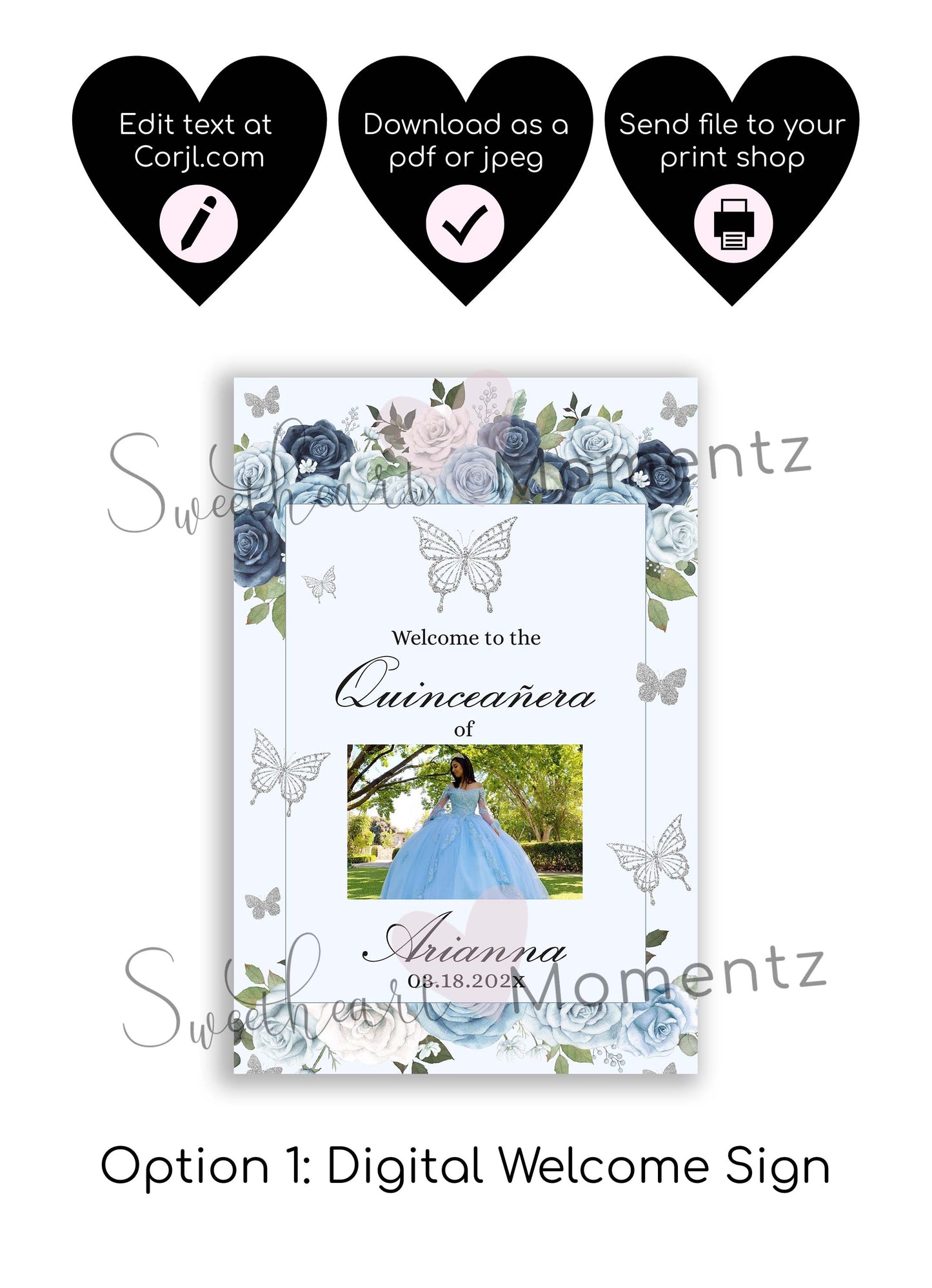 Blue and Silver Butterfly Welcome Sign Style: Arianna